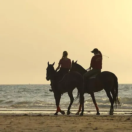 La Maison Bleue Au Coeur Des Plages Du Débarquement * Ver-sur-Mer