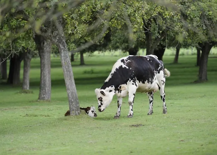 La Maison Bleue Au Coeur Des Plages Du Debarquement *